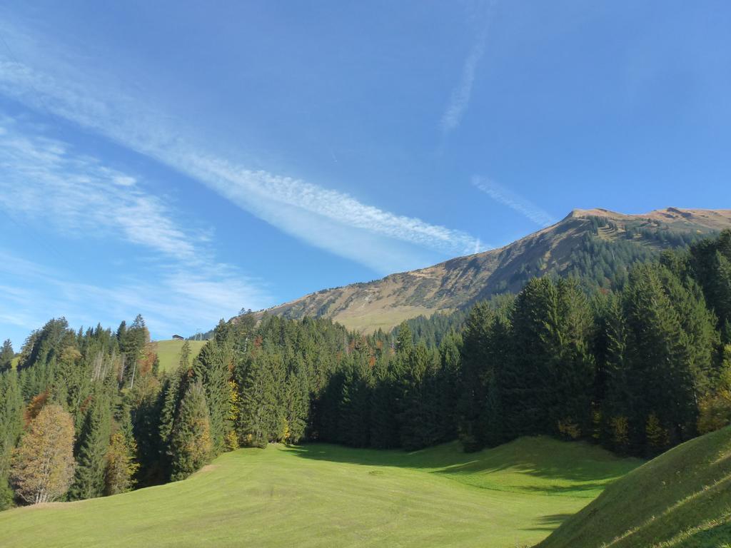 Walser Berg Chalets Riezlern Exterior photo